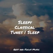 Sleepy Classical Tunes | Sleep