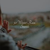 50 Winter Rain Sounds