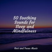 50 Soothing Sounds for Sleep and Mindfulness