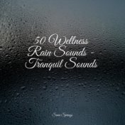 50 Wellness Rain Sounds - Tranquil Sounds
