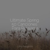 Ultimate Spring 50 Canciones Para Relajarse