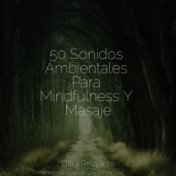 50 Sonidos Ambientales Para Mindfulness Y Masaje