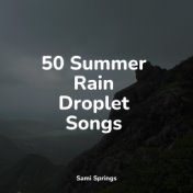 50 Summer Rain Droplet Songs