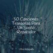 50 Canciones Tranquilas Para Un Sueño Reparador