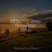 50 Spring Sleep Relaxation Songs