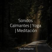 Sonidos Calmantes | Yoga | Meditación