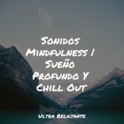 Sonidos Mindfulness | Sueño Profundo Y Chill Out