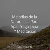 Melodías de la Naturaleza Para Spa | Yoga | Spa Y Meditación