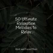 50 Ultimate Relaxation Melodies to Relax