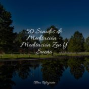 50 Sonidos de Meditación - Meditación Zen Y Sueño