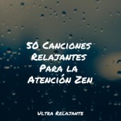 50 Canciones Relajantes Para la Atención Zen