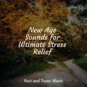 New Age Sounds for Ultimate Stress Relief