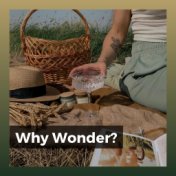 Why Wonder?