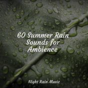 60 Summer Rain Sounds for Ambience