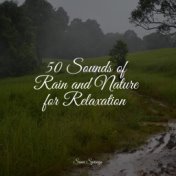 50 Sounds of Rain and Nature for Relaxation