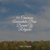 50 Canciones Ambientales Para Dormir Y Relajarse