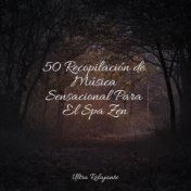50 Recopilación de Música Sensacional Para El Spa Zen