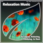 ! #0001 Relaxation Music for Sleep, Relaxing, Studying, to Rest