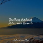 Soothing Ambient Relaxation Sounds