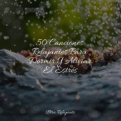 50 Canciones Relajantes Para Dormir Y Aliviar El Estrés