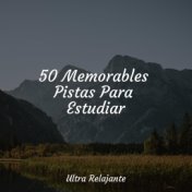 50 Memorables Pistas Para Estudiar