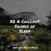 50 A Chillout Sounds of Sleep