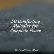 50 Comforting Melodies for Complete Peace