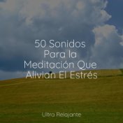 50 Sonidos Para la Meditación Que Alivian El Estrés