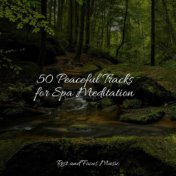 50 Peaceful Tracks for Spa Meditation