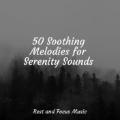 50 Soothing Melodies for Serenity Sounds