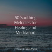 50 Soothing Melodies for Healing and Meditation
