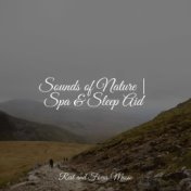 Sounds of Nature | Spa & Sleep Aid