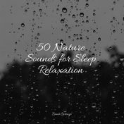 50 Nature Sounds for Sleep Relaxation