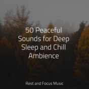 50 Peaceful Sounds for Deep Sleep and Chill Ambience