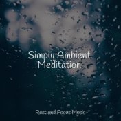 Simply Ambient Meditation