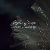 Timeless Autumn Rain Recordings