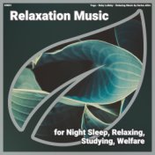 ! #0001 Relaxation Music for Night Sleep, Relaxing, Studying, Welfare