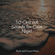 50 Chill out Sounds for Calm Night