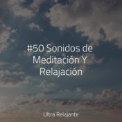 50 Canciones Tranquilas Para Dormir