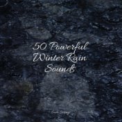 50 Powerful Winter Rain Sounds