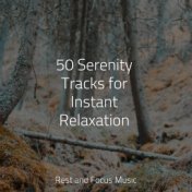 50 Serenity Tracks for Instant Relaxation