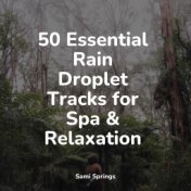 50 Essential Rain Droplet Tracks for Spa & Relaxation