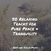 50 Relaxing Tracks for Pure Peace & Tranquility