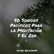 50 Sonidos Pacíficos Para la Meditación Y El Zen