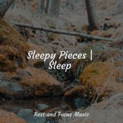 Sleepy Pieces | Sleep