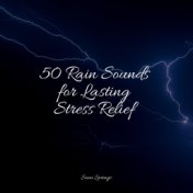 50 Rain Sounds for Lasting Stress Relief