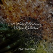 60 Rain & Ambiance Music Collection