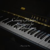 Calming Melodies | Symphonies for Mindful Living