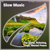 ! #0001 Slow Music for Sleep, Relaxing, Yoga, Mental Peace