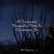 50 Canciones Tranquilas Para la Conciencia Zen